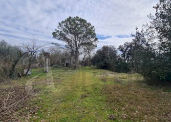 Foto 1 - Rustico Contrada Ravicelle
 
12, Aquino - foto 1