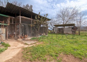 Foto 60 - Rustico Via Pennea
 
7, Ceprano - foto 60