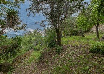 Foto 11 - Villa Via Antonio Simonelli
 
25, Arce - photo 11