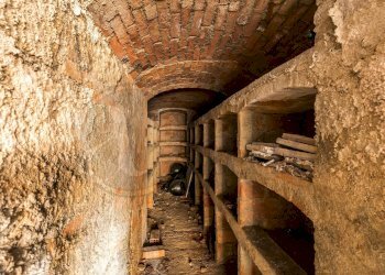 Foto 52 - Stable - Palace Via Roma
 
13, Vignale Monferrato - photo 52