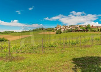 Foto 67 - Stable - Palace Via Roma
 
13, Vignale Monferrato - photo 67