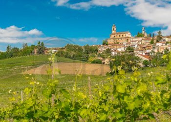 Foto 68 - Stable - Palace Via Roma
 
13, Vignale Monferrato - photo 68