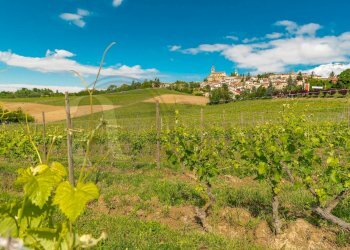 Foto 69 - Stable - Palace Via Roma
 
13, Vignale Monferrato - photo 69