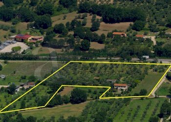 Foto 7 - Rustic Via Dei Monti Lepini
 
SNC, Prossedi - photo 7