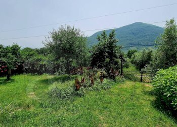 Foto 24 - Rustic Via Dei Monti Lepini
 
SNC, Prossedi - photo 24