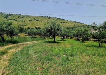 Foto 28 - Rustic Via Dei Monti Lepini
 
SNC, Prossedi - photo 28