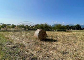 Foto 4 - Rustico Contrada Melfi di Sopra, Pontecorvo - foto 4