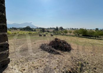 Foto 14 - Rustico Contrada Melfi di Sopra, Pontecorvo - foto 14