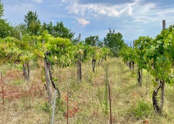 Foto 3 - Rustico Via Decime
 
snc, Santopadre - foto 3