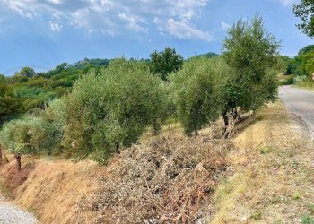 Foto 10 - Rustico Via Decime
 
snc, Santopadre - foto 10