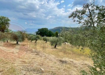 Foto 12 - Rustico Via Decime
 
snc, Santopadre - foto 12