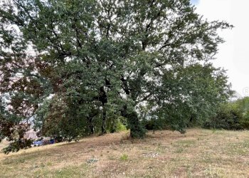 Foto 18 - Rustico Via Decime
 
snc, Santopadre - foto 18