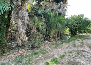 Foto 7 - Casa indipendente Via Campo del Medico, Roccasecca - foto 7