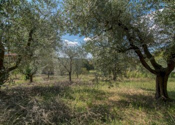 Foto 13 - Villa Via Casilina
 
2483, Ferentino - foto 13