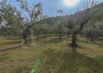 Foto 9 - Villa Falvaterra - photo 9