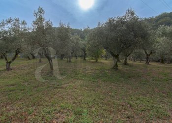 Foto 10 - Villa Falvaterra - photo 10