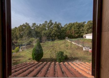 Foto 54 - Casa indipendente Via Palmesi
 
24/A, Patrica - foto 54