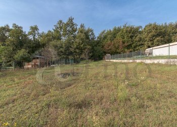 Foto 64 - Casa indipendente Via Palmesi
 
24/A, Patrica - foto 64