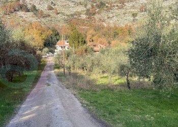 Foto 59 - Casa semi indipendente Via Littorio, Roccasecca - foto 59