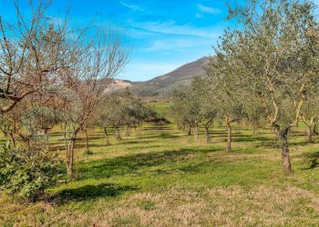 Foto 16 - Rustic Via Croce Tani, Ferentino - photo 16