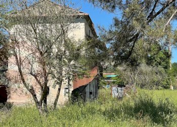 Foto 5 - Rustico Viale Giardino dello Sport
 
12, Pontecorvo - foto 5