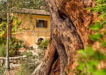 Foto 4 - Hotel Via Capodacqua
 
77, Castrocielo - foto 4