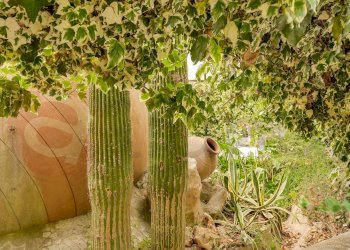 Foto 51 - Hotel Via Capodacqua
 
77, Castrocielo - foto 51