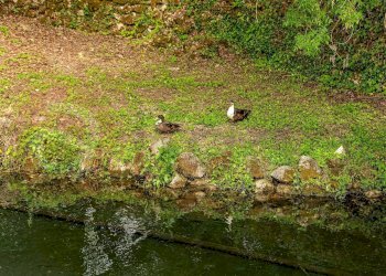 Foto 59 - Hotel Via Capodacqua
 
77, Castrocielo - foto 59