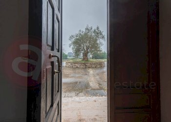 Foto 11 - Casa indipendente Via Capodacqua
 
snc, Castrocielo - foto 11