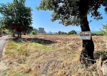 Foto 8 - Terreno edificabile Via Stazione
 
snc, Castrocielo - foto 8