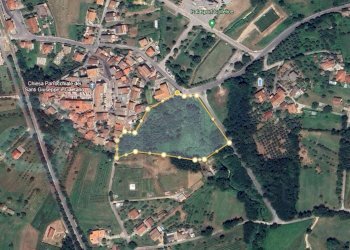 Foto 1 - Terreno edificabile Via Guardiola
 
snc, Colfelice - foto 1