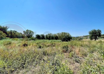 Foto 6 - Terreno edificabile Via Guardiola
 
snc, Colfelice - foto 6