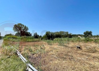 Foto 8 - Terreno edificabile Via Guardiola
 
snc, Colfelice - foto 8