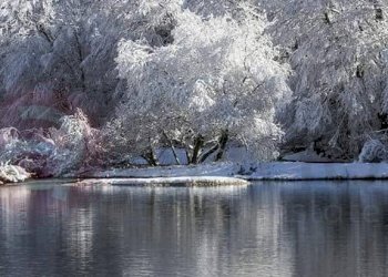 Foto 54 - Rustico Località Canneto
 
SNC, Settefrati - foto 54