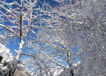 Foto 55 - Rustico Località Canneto
 
SNC, Settefrati - foto 55