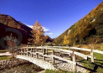 Foto 59 - Rustico Località Canneto
 
SNC, Settefrati - foto 59