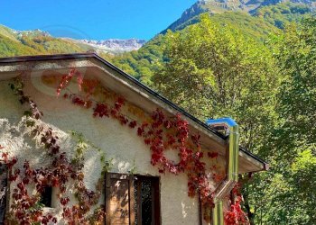 Foto 63 - Rustico Località Canneto
 
SNC, Settefrati - foto 63