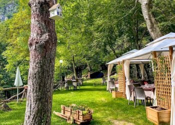 Foto 66 - Rustico Località Canneto
 
SNC, Settefrati - foto 66