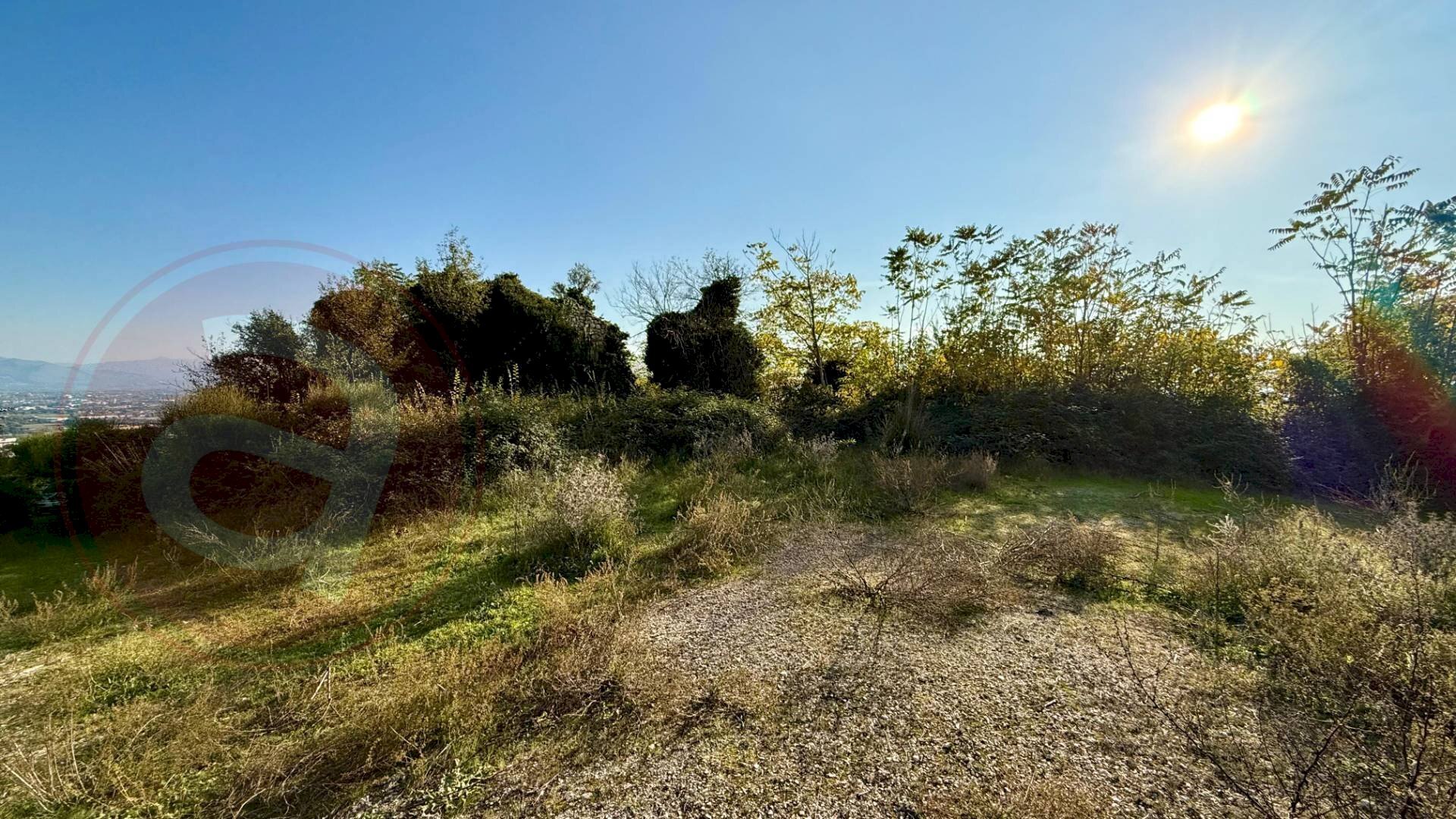 Foto 3 - Terreno agricolo Via Cavallara
snc, Castrocielo - foto 3