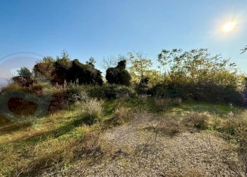 Foto 3 - Terreno agricolo Via Cavallara
snc, Castrocielo - foto 3