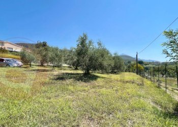 Foto 5 - Terreno edificabile Via Campogrande, Colfelice - foto 5