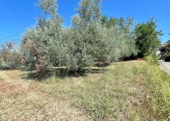 Foto 9 - Terreno edificabile Via Campogrande, Colfelice - foto 9