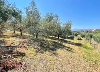 Foto 10 - Terreno edificabile Via Campogrande, Colfelice - foto 10