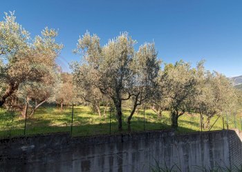 Foto 37 - Villa Via Allegra
 
snc, Alatri - foto 37