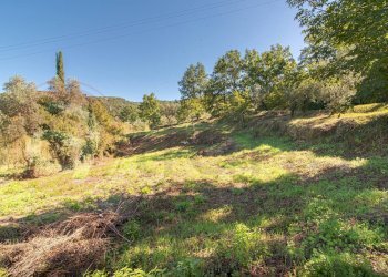 Foto 55 - Casa semi indipendente Via Santa Palomba
 
snc, Arpino - foto 55