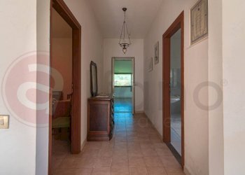 Foto 14 - Casa indipendente Via Carpinetana Loc. Fontanelle, Segni - foto 14