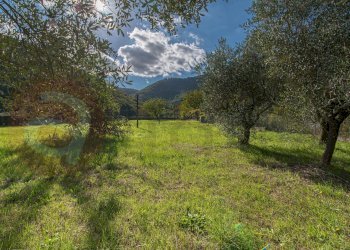 Foto 41 - Casa indipendente Via Carpinetana Loc. Fontanelle, Segni - foto 41