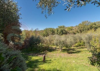 Foto 44 - Villa Via Salita Casette, Alatri - foto 44