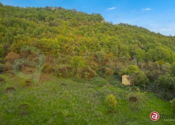 Foto 11 - Rustico Via Carpello, Campoli Appennino - foto 11