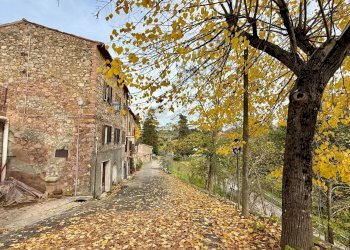 Foto 4 - Stabile - Palazzo Via San Cristoforo
 
18, Ficulle - foto 4